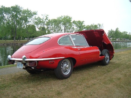 2005_06101970JAGUAR0010.JPG